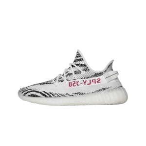 31 OPTIONS